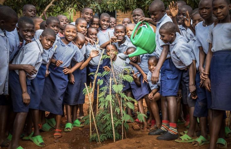 Youth Life Skills Training